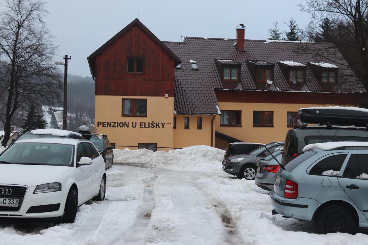 Отель Penzion U Elisky Bedrichov V Jizerskych Horach Экстерьер фото